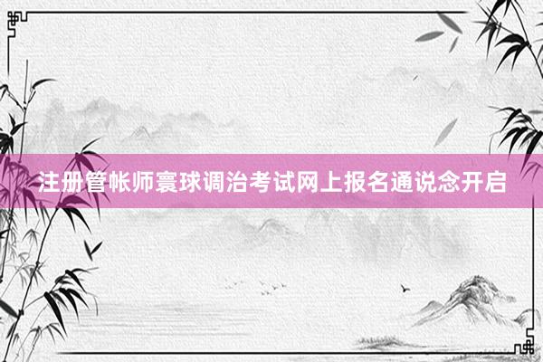 注册管帐师寰球调治考试网上报名通说念开启